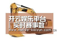 开云体育平台第四系列