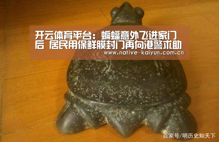 开云体育平台